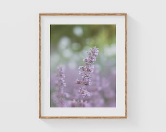 Lavender Wildflower Photography Print, Soft Purple Botanical Wall Art, Romantic Nature Decor