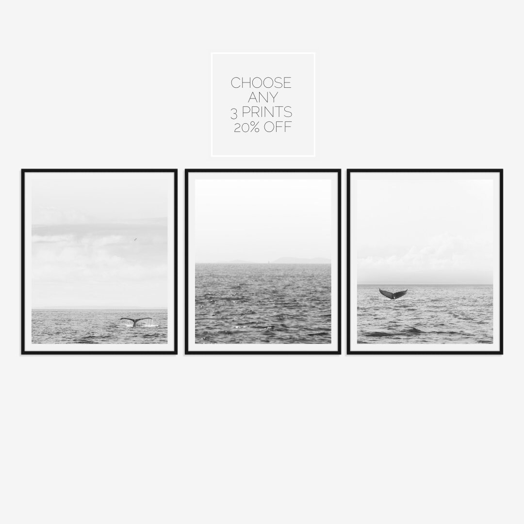 Choose Any 3 Prints / Make Your Own Set / Select From Our Wide Etsy