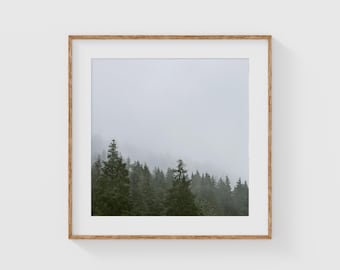 以下が含まれることがあります： 霧がかかった森の風景の写真が額装されています。木々は濃い緑色で、霧は薄い灰色です。額縁は明るい木の色です。