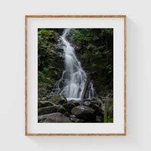 Forest Waterfall Wall Art, Tranquil Nature Photography Print, Serene Landscape Decor for Modern Rustic Homes