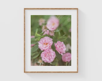 Soft Pink Rose Wall Art, Romantic Floral Nature Print, Cottagecore Flower Photography for Feminine Bedroom Decor