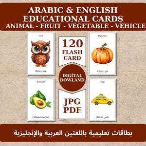 120 Cartões de memória ÁRABES - Cartões de memória de frutas - Cartões de memória de vegetais - Cartões de memória de animais - Cartões de memória de veículos - Digital Dowland