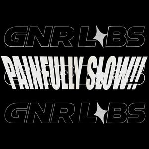 Peut inclure: Fond noir avec texte blanc. Les mots "GNR Labs" sont en haut et en bas. L'expression "PAINFULLY SLOW!!!" est au centre, dans une police stylisée. Le design est minimaliste et moderne.