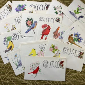 May include: A collection of vintage envelopes with colorful stamps featuring birds and flowers. Each envelope has a "Wildflowers of America" stamp with a different flower and bird design. The stamps are from the 1970s and 1980s.