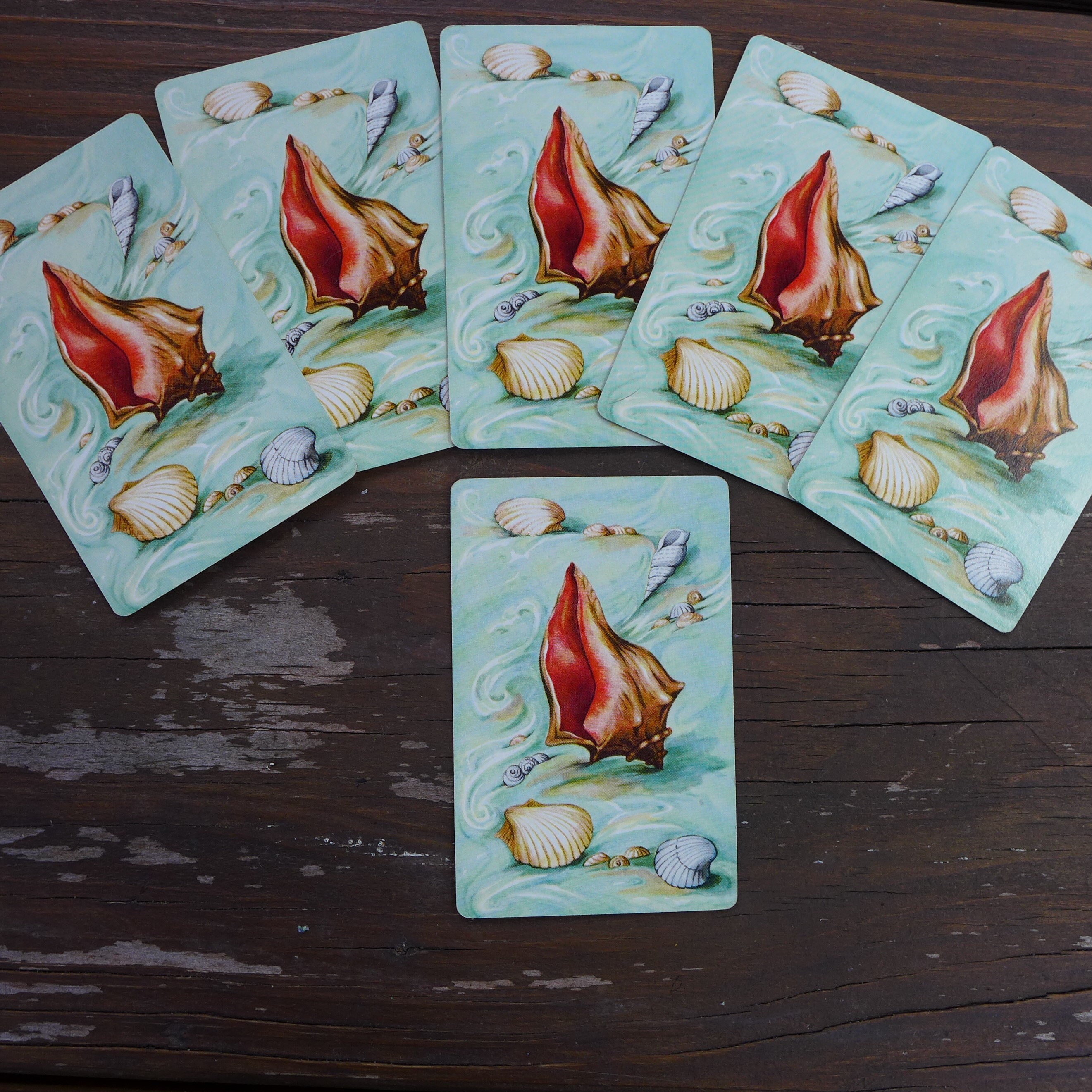 Seashell Playing Cards / Individual Cards Etsy