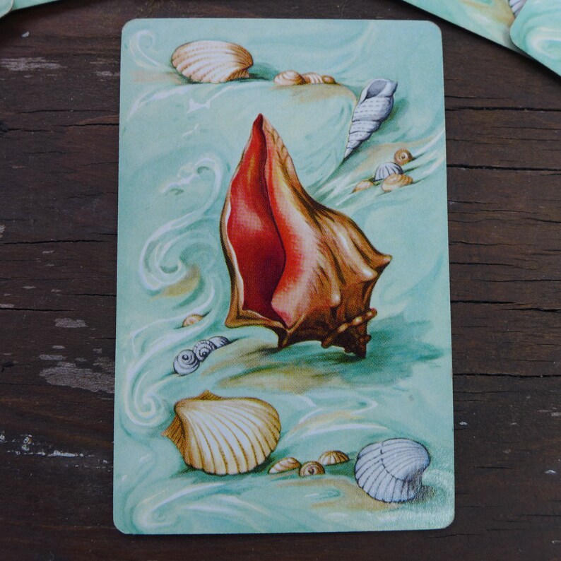 Seashell Playing Cards / Individual Cards Etsy