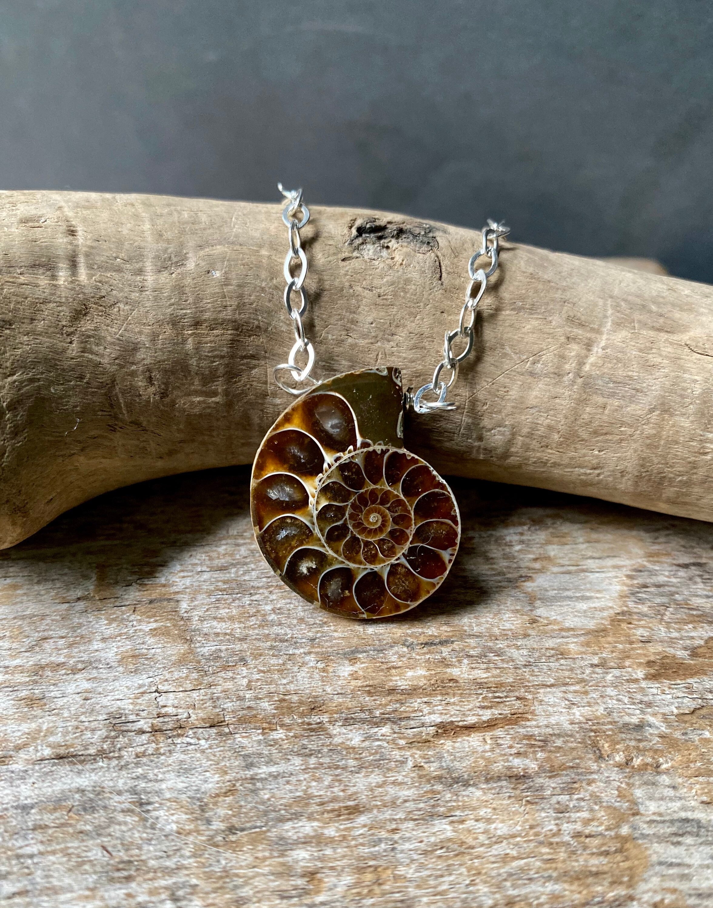 real fossil necklace