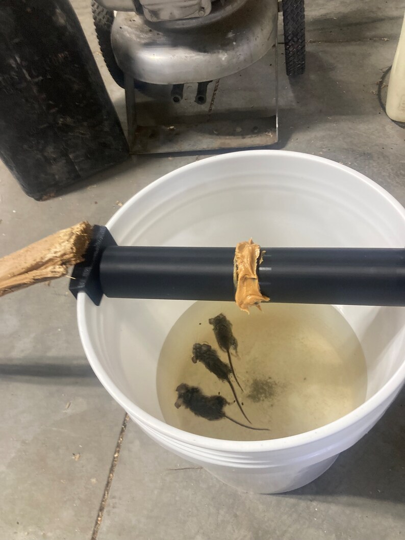 The Over Engineered Mouse Trap - Etsy