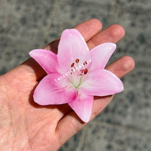 May include: A pink lily flower with a detailed design, held in a hand. The flower has six petals with a gradient of pink hues. The center features brown stamens and a white and green base. The text "TwiceJadeDesign" is visible on the flower.