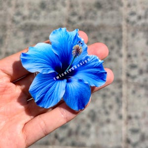 May include: A vibrant blue hibiscus flower with detailed petals and a textured center. The flower has the text "TwiceteaDesign" across the petals. The flower is held in a hand.