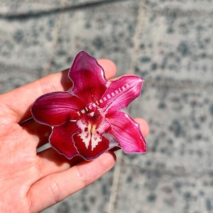 May include: A vibrant, resin-cast orchid flower in shades of deep red and pink, with a white and yellow center. The flower is held in a hand, and the text "Twiceteadesign" is visible on the petals.