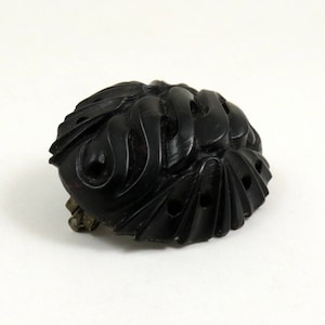 May include: A black carved brooch with an intricate design. The brooch is oval shaped and has a detailed pattern of swirls and curves.