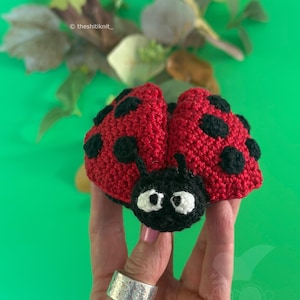 May include: A handmade crochet ladybug with a red body and black spots. The ladybug has a black head with white eyes and antennae. The ladybug is held in a hand with a silver ring. The background is green.