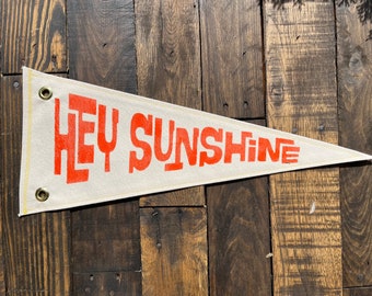 Hey Sunshine Canvas Pennant