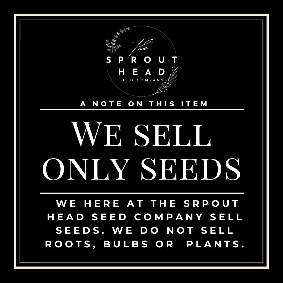 キャノンボール ツリー - Couroupita guianensis - 希少な「植物」種