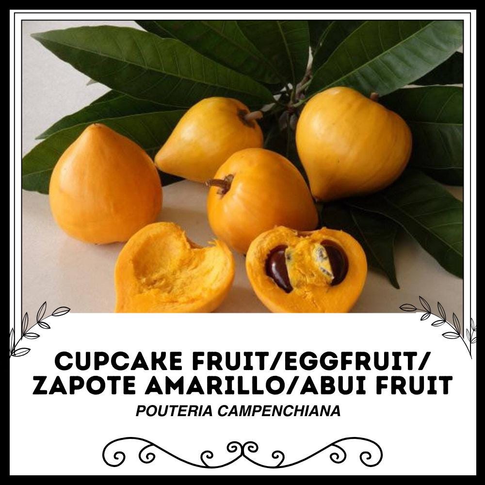 il_fullxfull.6207532845_mgzy.jpg