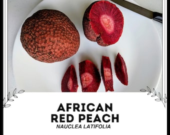 Puede incluir: Un melocotón rojo africano entero y en rodajas, también conocido como Nauclea Latifolia, en un plato blanco. La fruta es de color rojo intenso y tiene una piel rugosa y texturizada.