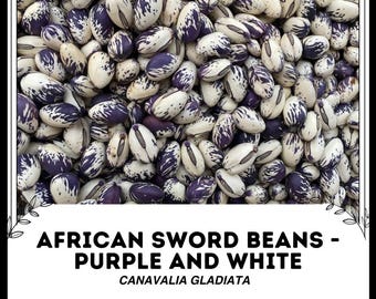 Frijoles espada africanos - Púrpura y blanco - Canavalia gladiata - Vegetal de herencia rara