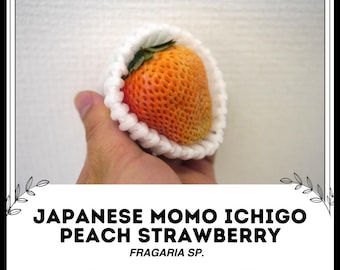 Seeds. Japanese GOURMET Strawberries 'Momo Ichigo' (Peach