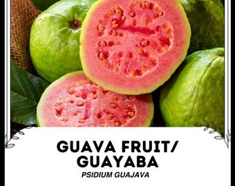 Frutto di guava / Guayaba - Psidium guajava - Semi di 'frutto' rari - Bacca di guava, verde-rosso, mela di guava, frutto di Guajava, guava tropicale, guava di limone