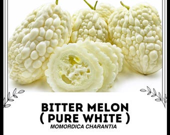 Melón amargo (blanco puro) - Momordica charantia - Vegetal de herencia rara