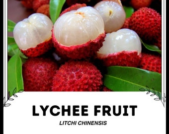 Lychee Fruit - Litchi chinensis - Rare 'Fruit' Seeds - Litchi, Red-White, Leechee, Chinese Strawberry, Lychee Nut, Sapindaceae, Lichu