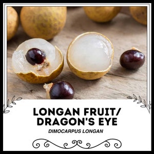 Longan Fruit / Dragon&#39;s Eye - Dimocarpus longan - Rare &#39;Fruit&#39; Seeds - Soapberry, Black-White, Pinyin, Mamoncillo Chino, White Dragon Eye