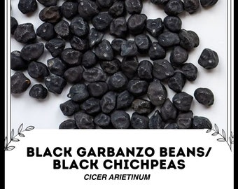 黒ヒヨコ豆 / 黒ヒチ豆 - Cicer arietinum - 希少な伝統野菜