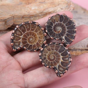 以下が含まれることがあります： 螺旋状のデザインが施された、3つのアンモナイトの化石ペンダント。アンモナイトは茶色とタン色の配色で、銅色の金属の縁取りが施されています。ペンダントはピンク色の表面に展示されています。