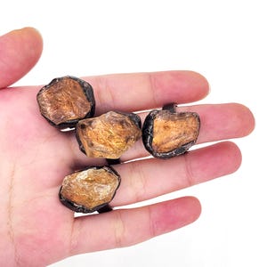 May include: Four rings with natural, raw, brown and clear quartz stones set in black metal bands.