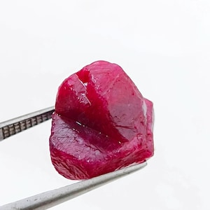 Puede incluir: Un rubí en bruto, sin cortar, sostenido por unas pinzas metálicas. El rubí es de un color rojo intenso y saturado, con una superficie rugosa y texturizada. La gema tiene una forma irregular y parece ser un espécimen natural sin pulir.