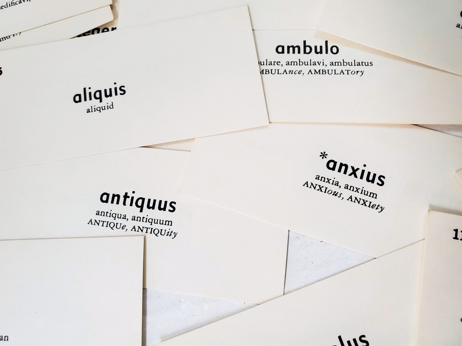 30 Vintage Latin Flash Cards Latin to English Vocabulary Card Etsy