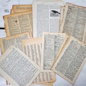 May include: A stack of vintage dictionary pages with various words and definitions. The pages are yellowed and have a worn, aged look.