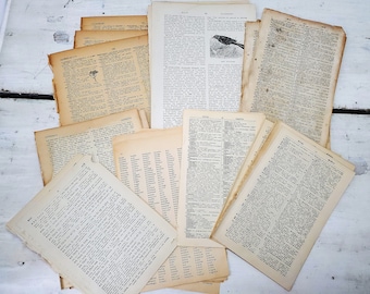 Vintage Paper Pack , 25 Vintage Childrens Book Pages and More, Ephemera ...