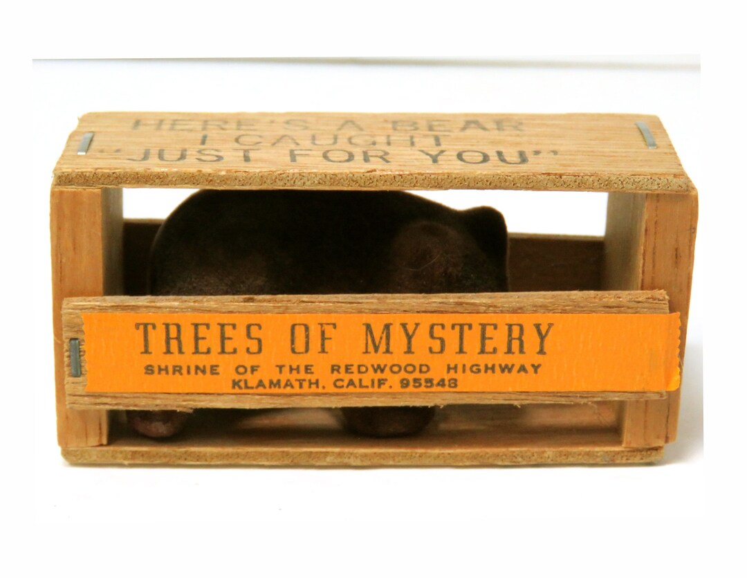 Vintage Brown Bear in a Mini Crate/ Trees of Mystery Mailer Souvenir