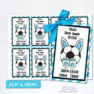 Etiquetas de presente especiais com tema de futebol You're Some Bunny para impressão, cartões de Páscoa, presentes de times de futebol, festa de Páscoa, adesivos, modelo editável