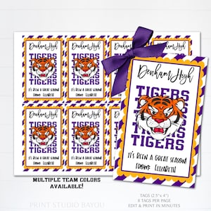 Printable Tigers Mascot Tags, Editable Team Snack Tags, Teammate Gifts, Tiger School Spirit Tags, Coaches Gift, End of Season Tags, Template