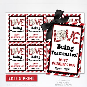 BEDRUCKBAR Geschenkanhänger zum Ausdrucken, Beachvolleyball-Geschenkanhänger, Valentinstag-Geschenkanhänger, Liebe, die Liebe als Teammates, Aufkleber bearbeitbare Vorlage