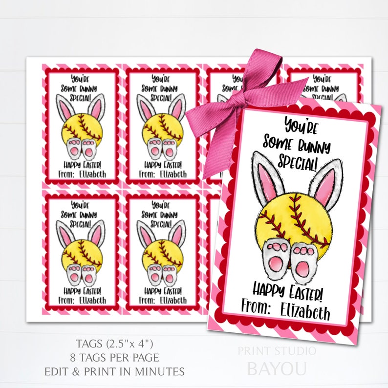 You're Some Bunny Special Softball Themed Gift Tags, Easter Cards
