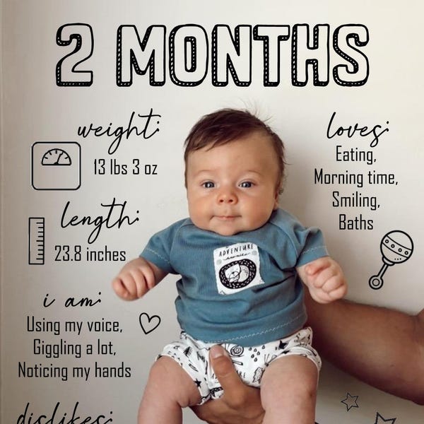 Single Month - Digital Download - Monthly Milestones - Baby Poster