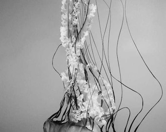 Image File for Rachel Byington: Pacific Sea Nettle - Black and White 30"x42" Photography by Marianna Mills