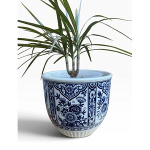 May include: A ceramic planter featuring a blue and white floral pattern with intricate botanical motifs and geometric borders. The pot has a rounded shape with a ribbed base and contains a green dracaena plant with long, thin, pointed leaves.