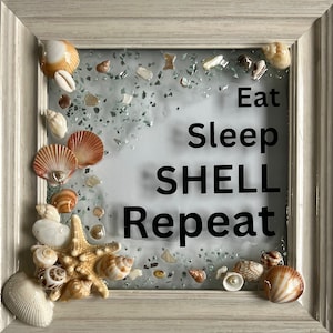 Eat, Sleep, Shell, Repeat - Shell resin frame