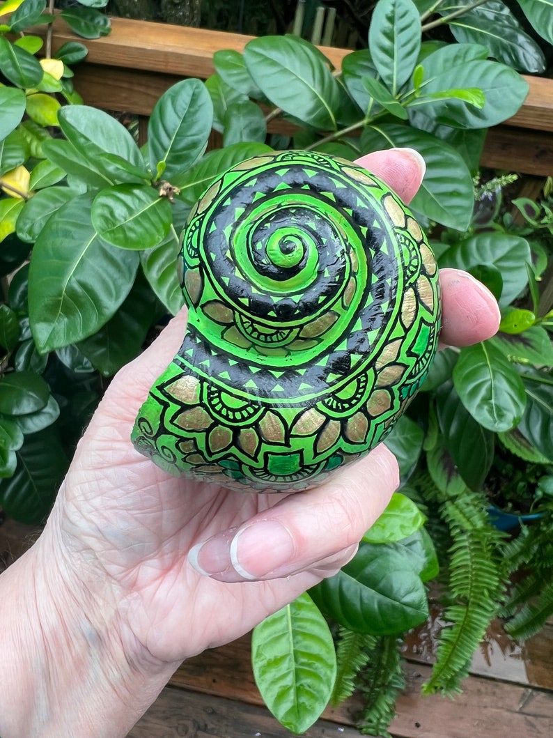 Hand Painted Apple Snail Shell Green Pattern Etsy