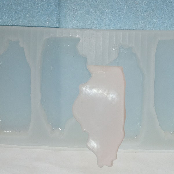 Made To Order custom food safe silicone candy molds -Illinois state