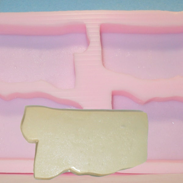 Made To Order custom silicone molds – Mississippi state soap mold