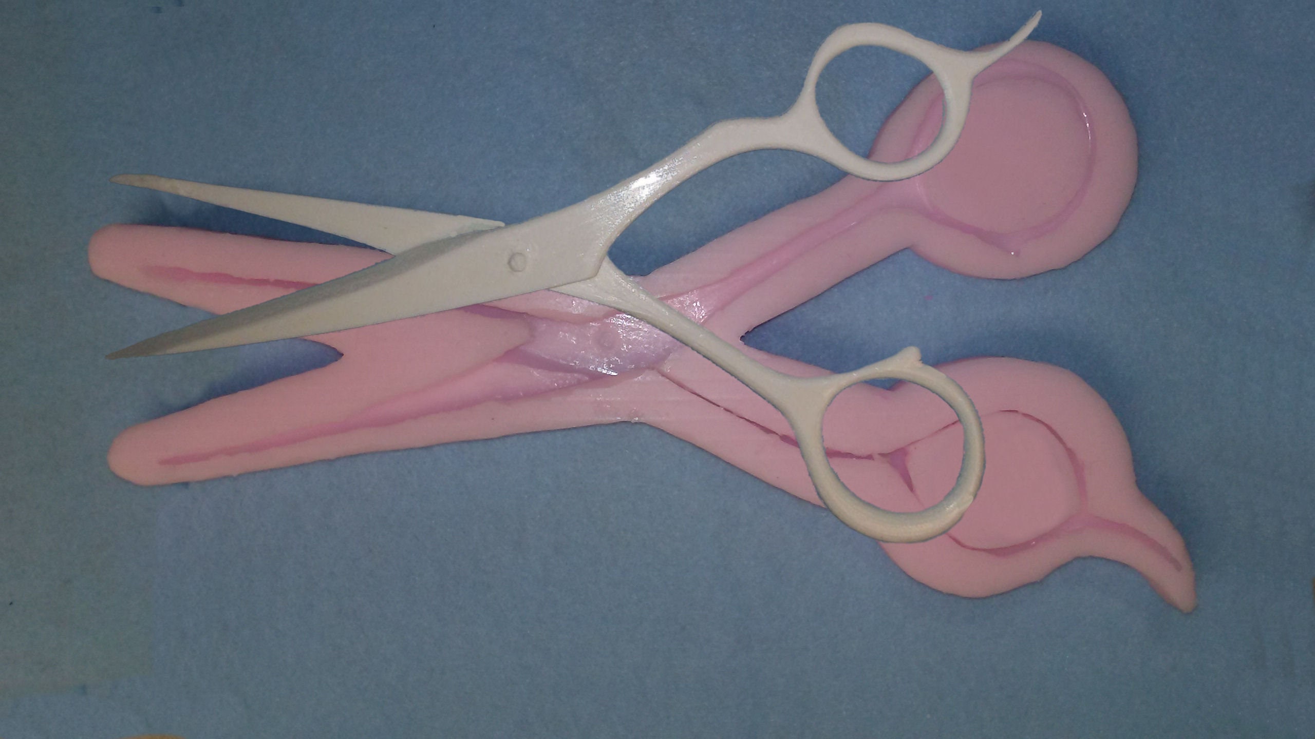 Craft Scissors with Lace Heads - Perfect for Decorative Trims – Glitzy Molds
