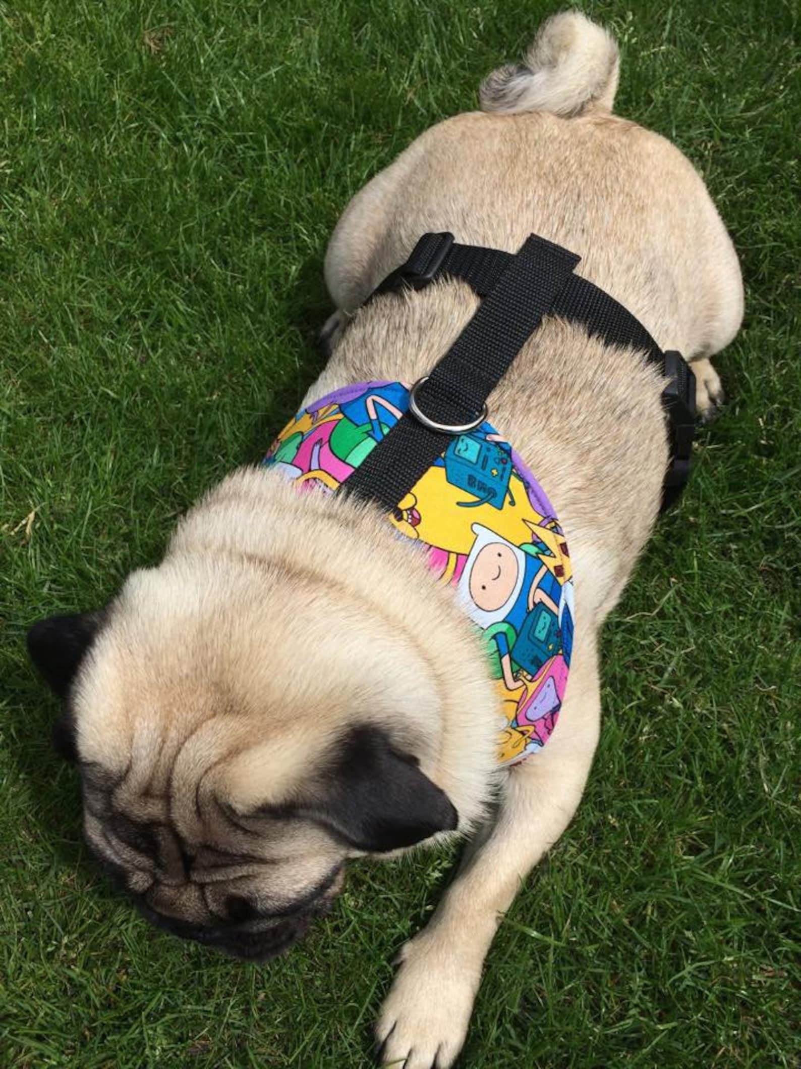 DIY Dog Harness Sewing Pattern and Full Instructions PDF Download