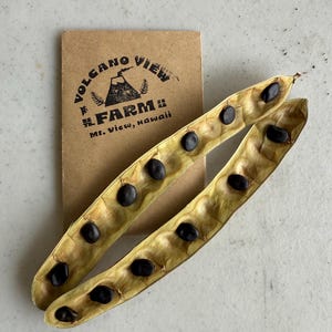 May include: Two seed pods with black seeds are displayed next to a brown card. The card has a stamp that reads "VOLCANO VIEW FARM Mt. View, Hawaii" with a volcano graphic. The pods are light brown and have several black seeds inside.