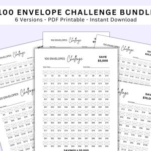 100 Umschlag Herausforderung Printable | Budget- und Ersparnis-Tracker | Journal zum Geldsparen | Buchhaltungsplaner Digitaler Download PDF